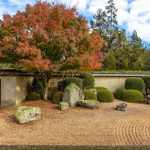 Beautiful Japanese zen garden with vibrant autumn foliage and raked gravel.