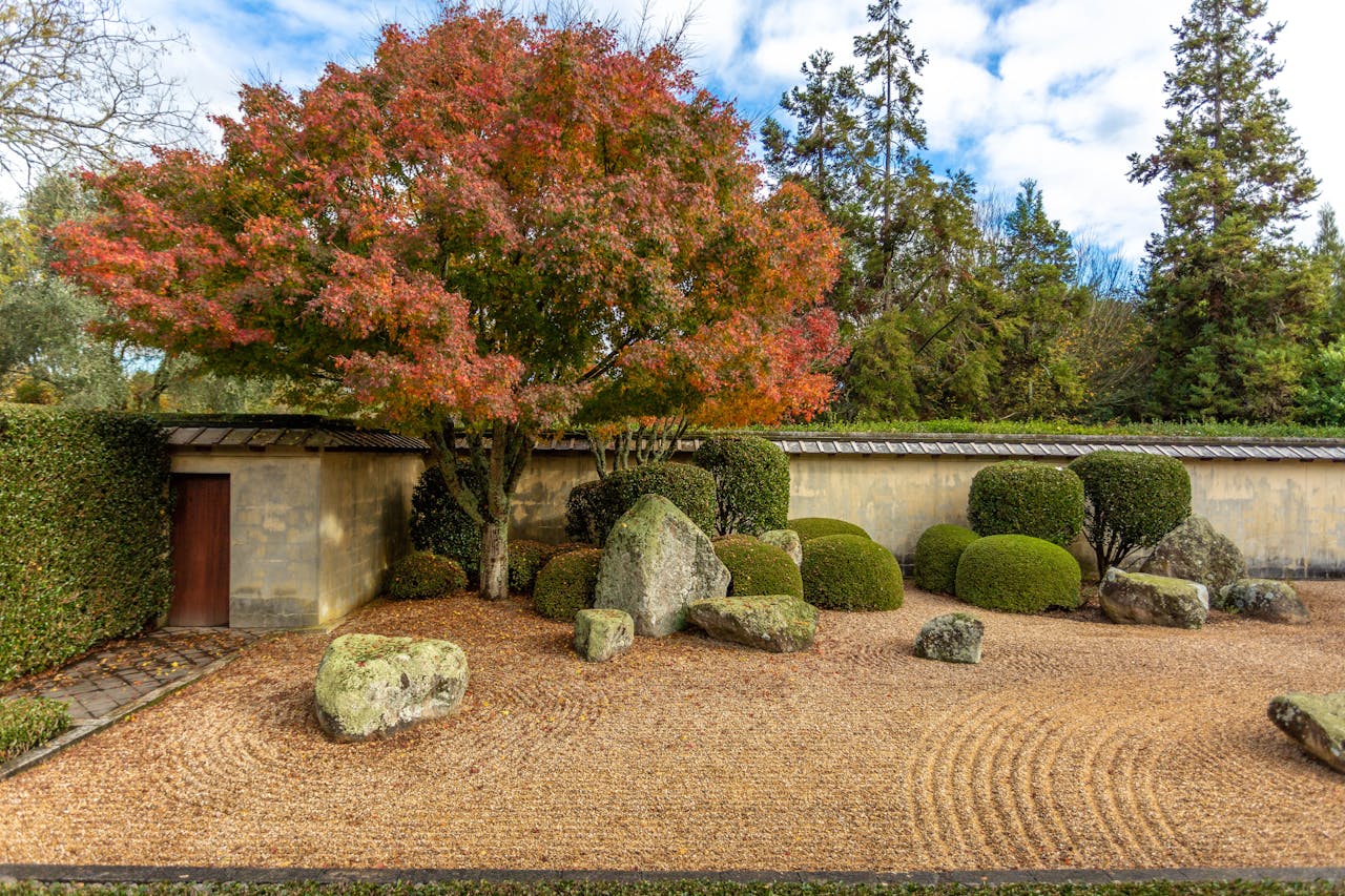 Beautiful Japanese zen garden with vibrant autumn foliage and raked gravel.
